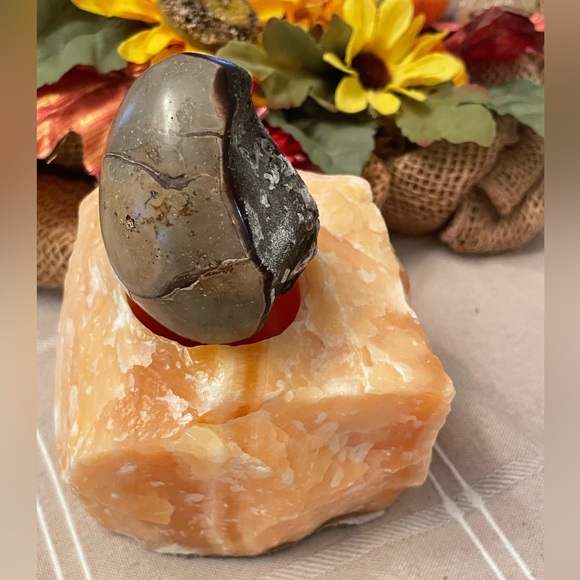 Green Septarian Nodule in an egg shape. - Picture 4 of 6